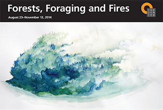 Forests-Foragin-Fires-brochure_web